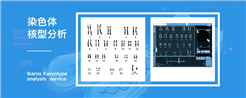 iCell-006染色体核型分析常用的方法